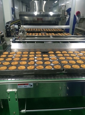 PLC Control 1000kg/H Bakery Production Line Equipment For Sweet Bun