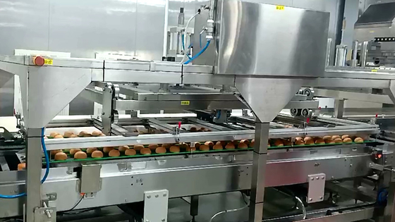 High Output 380V 50HZ Automatic Bread Production Line With CE Certificate