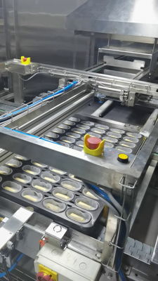 Final Proofing System Hotdog Roll Bread Proofer with insulated housing