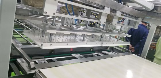 ISO9000 Multi Step Proofer Automatic Toast Production Line