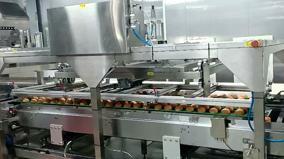380V 50HZ Bread Production Line with Endless SUS Modular Mesh Belt Conveyor