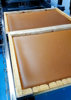 Flip Over Depanner Nagasaki Cake Automatic Cake Production Line